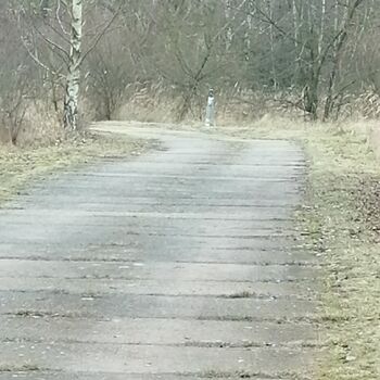 krajina kanál Les voda strom krajina kanál Les voda strom