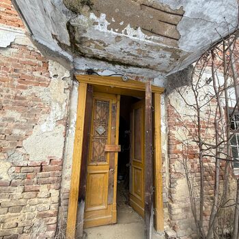 DDT, or the crocodile wasn't home