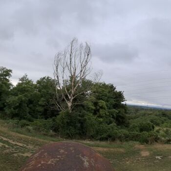 — S L O V A K I A —