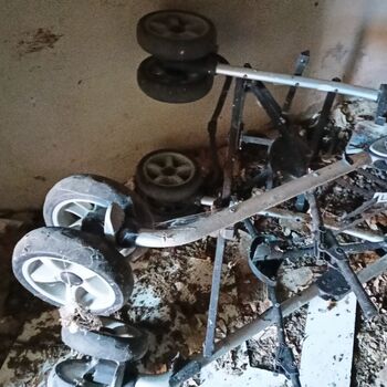 sheepfold - dead animals