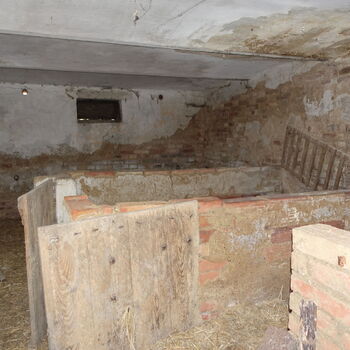 Statek u Trabanta III.