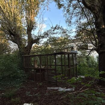 ✨ Old Brewery ✨ Old Brewery