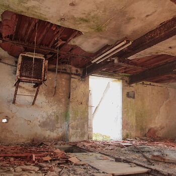 Schweinehüter Schweinehüter