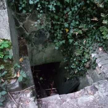 Bohnický hřbitov bláznů 🕯️🗝️🪦