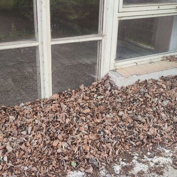 Schule in der Natur_2025