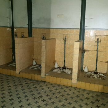 Toaleta místnost koupelna interiér Toaleta místnost koupelna interiér