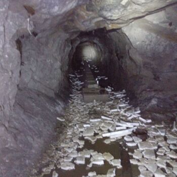 Down in the mine part two 2024