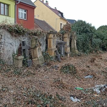 Friedhof 2022 Friedhof 2022