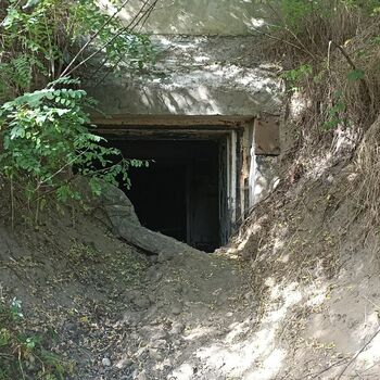 Javor 50 s vojenským prostorem 2021 Javor 50 s vojenským prostorem 2021