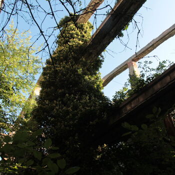 Landwirtschaftliche Fläche mit Hopfentrocknungsanlage 2023