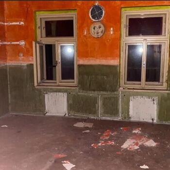 An abandoned children's home for the mentally handicapped! They abused the patients here.