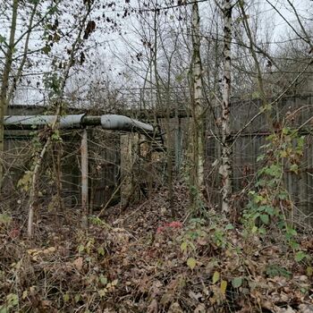 strom plot Les krajina stromy bariéra strom plot Les krajina stromy bariéra