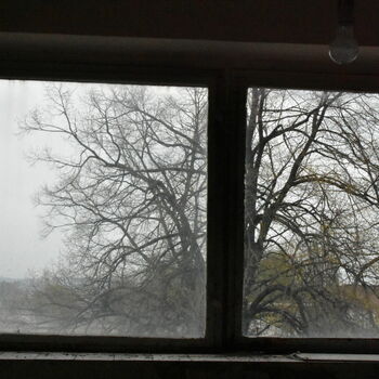 window screen screen