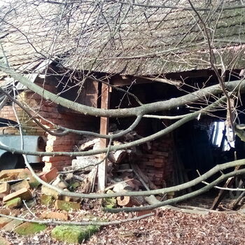 Opuštěný dům 2021