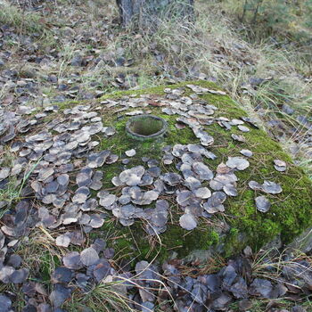 Javor 52 Nuclear Weapons Depot