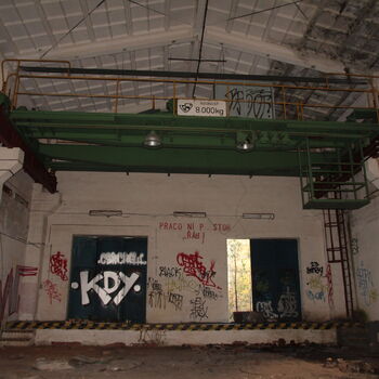 VEGA Group VEGA Group