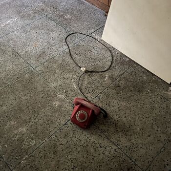 Abandoned school in Nature