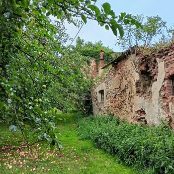 das Schloss, das jeder kennt...
