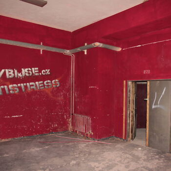 Versicherungsschutz unter dem Sitz der Autofirma Versicherungsschutz unter dem Sitz der Autofirma