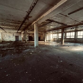 Timber production 2023