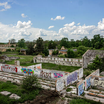 Landwirtschaftliche Fläche