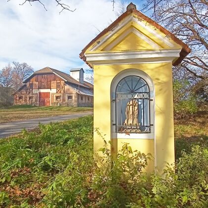 ovčín - mrtvá zvířata