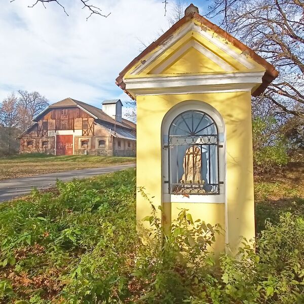 ovčín - mrtvá zvířata