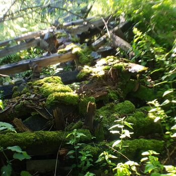 Urbex - 2022 Šumava - Vražedná p......