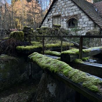 Die Mühle Die Mühle