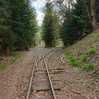 stopa kravata složená závorka Les