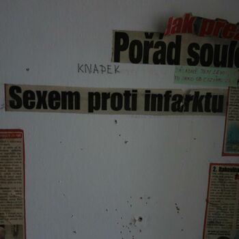 noviny produkt Tvorba denně