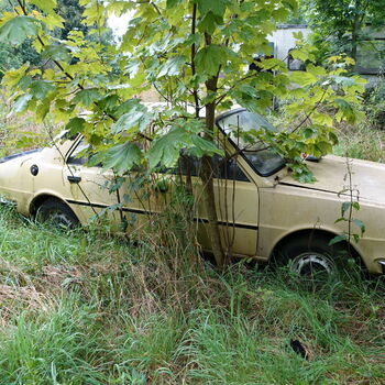 Už asi nevyjedou...
