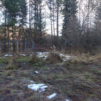 Abandoned children's sanatorium