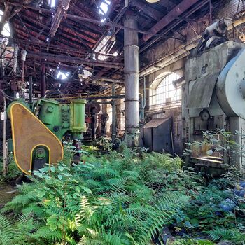 Mechová kovárna Mechová kovárna