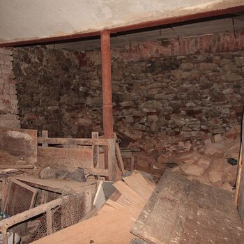 Mill from Snake river