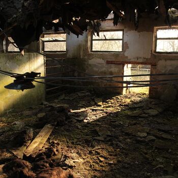 JZD, co se dle sídla jmenovat nesmělo