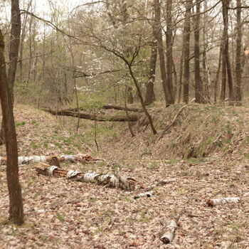 HQ Communications Centre HQ Communications Centre