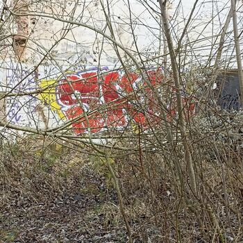 Lederfabrik und State Farm 2022