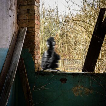 Military Space Green 2024