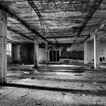 Timber production 2023