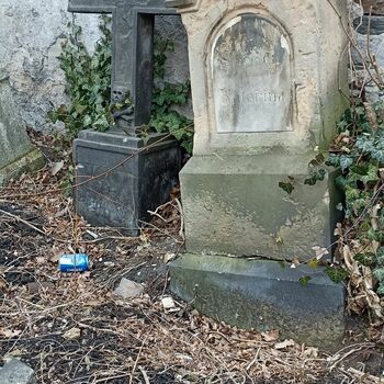 Friedhof 2022 Friedhof 2022