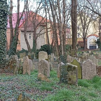 Jüdischer Friedhof 2024