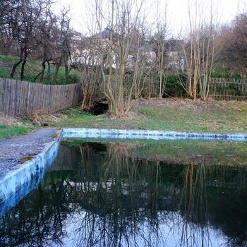 bažina mokřadní země jezero řeka voda kanál krajina vodního strom