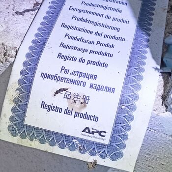 sheepfold - dead animals