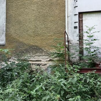 pivovar - koukni na video..