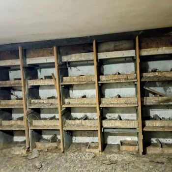 Tichý svědek tvrdého života