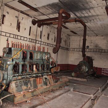 VEGA Group VEGA Group