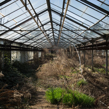 skleníkové budova struktura Architektura