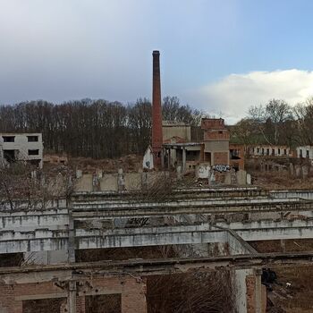 Lederfabrik und State Farm 2022