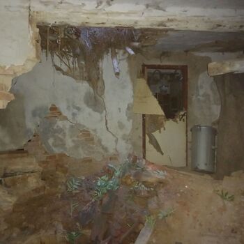 Homestead with a pond